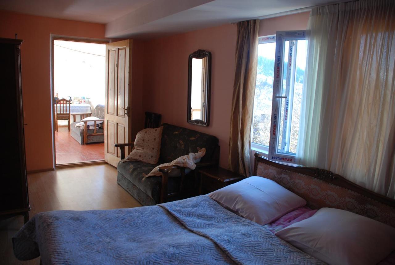 Dodo Japaridze Guesthouse Mestia Ngoại thất bức ảnh